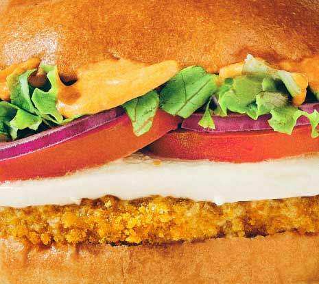 Burger Original Bioburger offre du moment